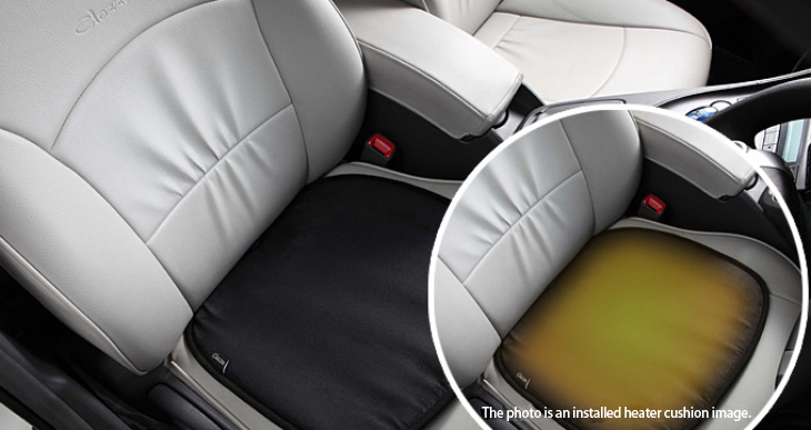 Clazzio Heater Cushion /></h2>
			<p class=