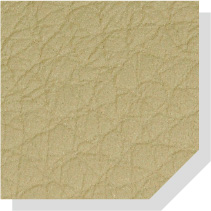TanBeige