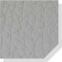 LightGray