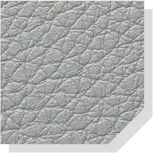 LightGray