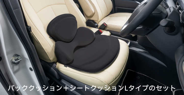 バッククッション+シートクッションLタイプのセット