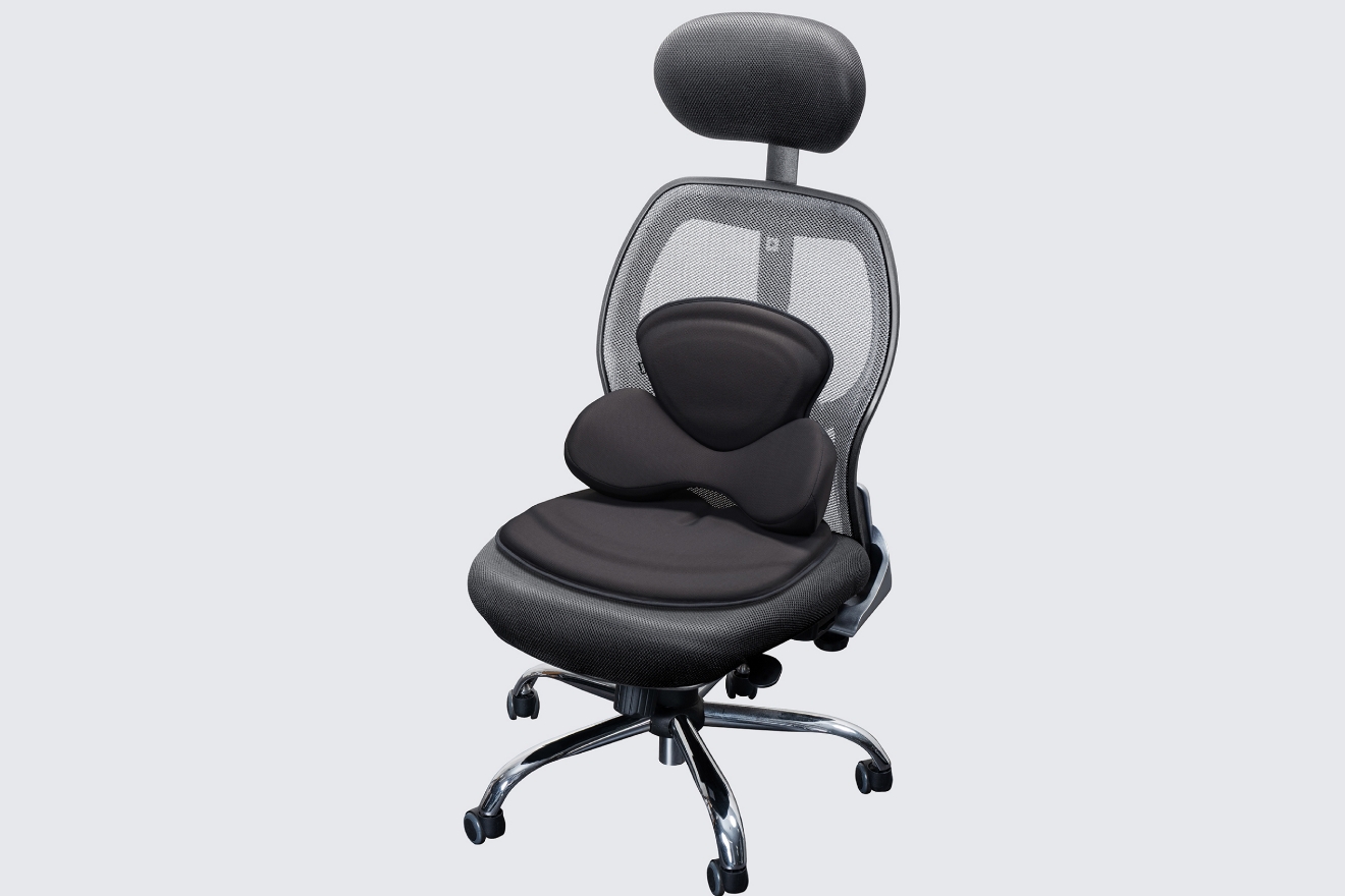 バッククッション+シートクッションLタイプのセット