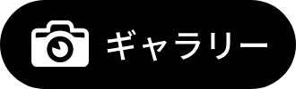 ギャラリー