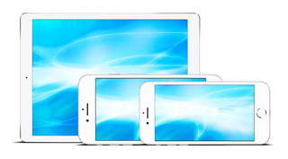 iPad mini / iPhone iPad mini / iPhone